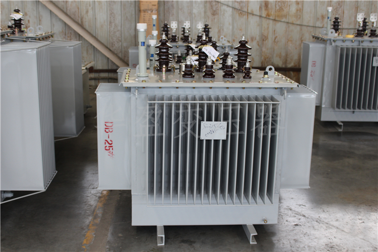 三沙S20-800kVA/10kV/0.4kV变压器